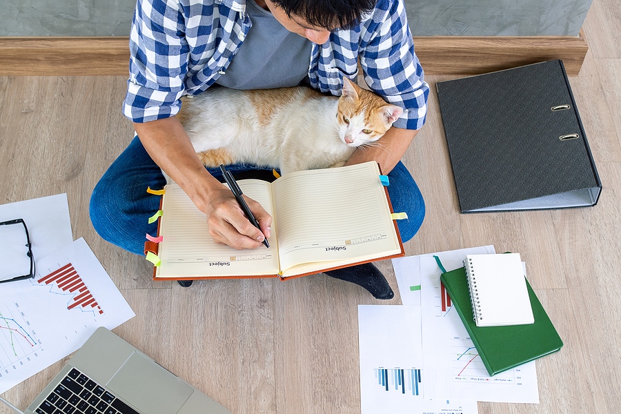 Man Sitting And Planning for Pets in Your Estate Plan